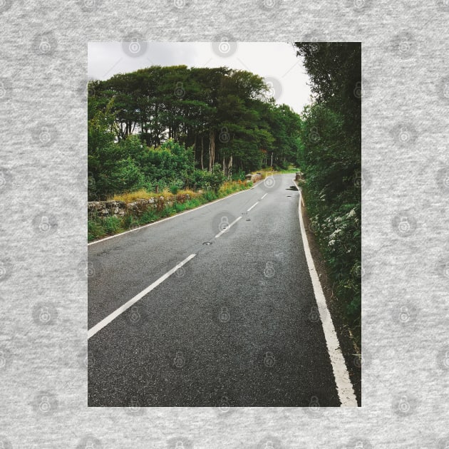 Dartmoor National Park - Cement Road on Rainy Day (Devon, England) by visualspectrum